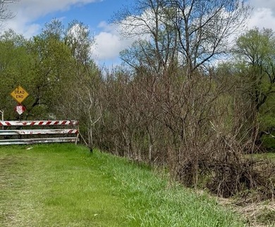 Enjoy a peaceful corner of the North Country with this 5+ acre - photo 5