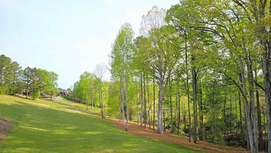 For Sale: Craftsman Masterpiece on the 12th Tee at Woodfin Ridge - photo 45