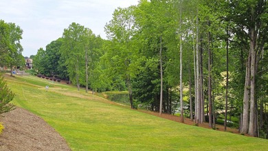 For Sale: Craftsman Masterpiece on the 12th Tee at Woodfin Ridge - photo 46