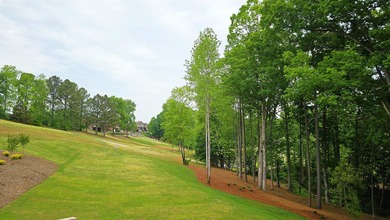For Sale: Craftsman Masterpiece on the 12th Tee at Woodfin Ridge - photo 48