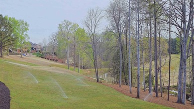 For Sale: Craftsman Masterpiece on the 12th Tee at Woodfin Ridge - photo 49
