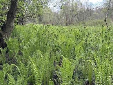 Enjoy a peaceful corner of the North Country with this 5+ acre - photo 10