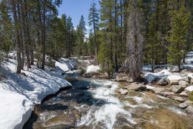 Lake Lot For Sale in Soda Springs, California