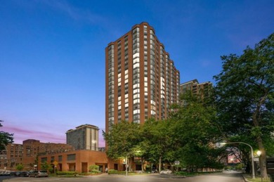 Lake Michigan - Cook County Condo Active Under Contract in Chicago Illinois