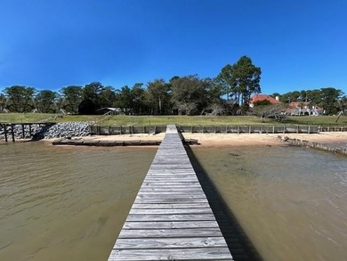 (private lake, pond, coastal) Acreage For Sale in Coden Alabama