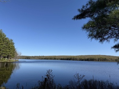 MOTIVATED SELLERS ~ WELCOME TO YOUR NEW OASIS! This beautiful - photo 7