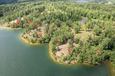 Lake Lot For Sale in Crane Hill, Alabama