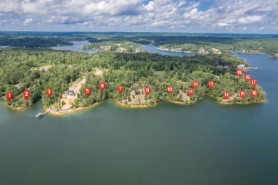 Lake Lot For Sale in Crane Hill, Alabama