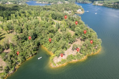 Lake Lot For Sale in Crane Hill, Alabama