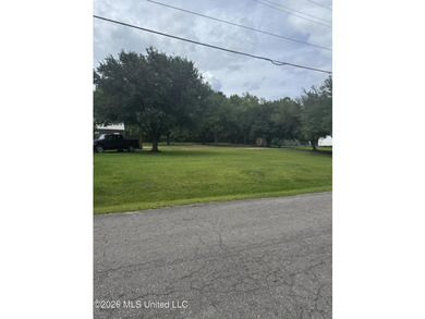 This lot has beautiful oaks on it, and sits across from the lake - photo 2