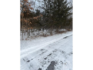 Hudson River - Greene County Lot For Sale in Athens New York