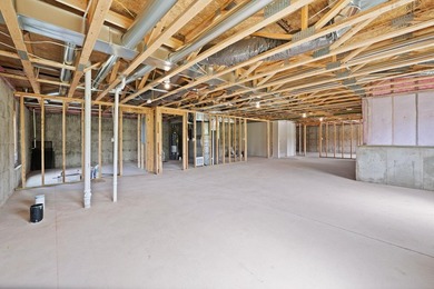 This beautiful custom-built home in The Coves features 3 - photo 28