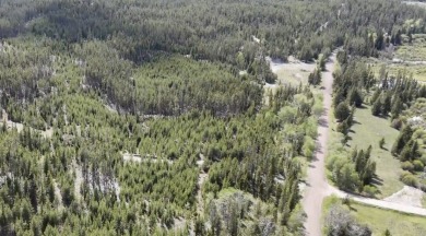 (private lake, pond, creek) Acreage For Sale in Anaconda Montana