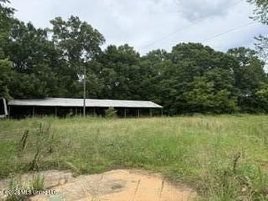 Located along Highway 13, south of Lena in Scott County, this - photo 2