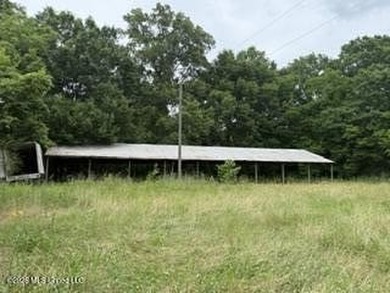 Located along Highway 13, south of Lena in Scott County, this - photo 3