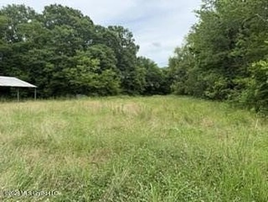 Located along Highway 13, south of Lena in Scott County, this - photo 4