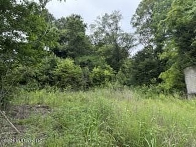 Located along Highway 13, south of Lena in Scott County, this - photo 5