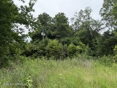 Located along Highway 13, south of Lena in Scott County, this - photo 6