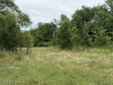 Located along Highway 13, south of Lena in Scott County, this - photo 7