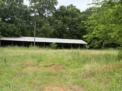 Located along Highway 13, south of Lena in Scott County, this - photo 8