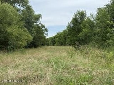 Located along Highway 13, south of Lena in Scott County, this - photo 9