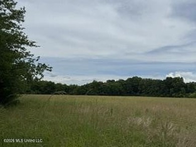 Located along Highway 13, south of Lena in Scott County, this - photo 10