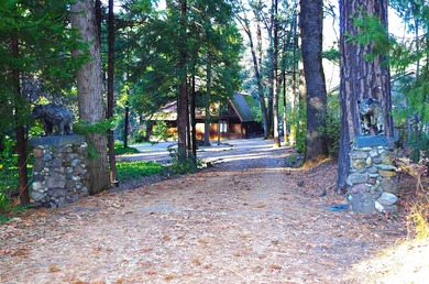 (private lake, pond, creek) Home For Sale in Dunsmuir California