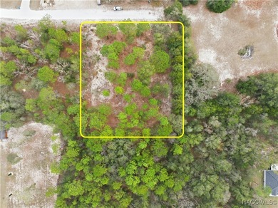 Nestled in a quiet, secluded setting, this .69-acre parcel in - photo 1