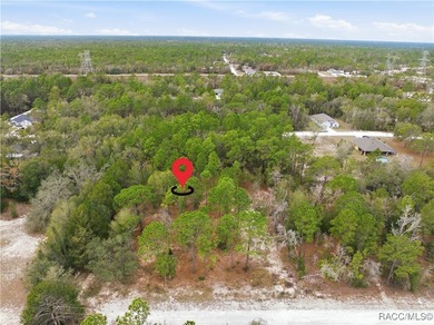 Nestled in a quiet, secluded setting, this .69-acre parcel in - photo 2