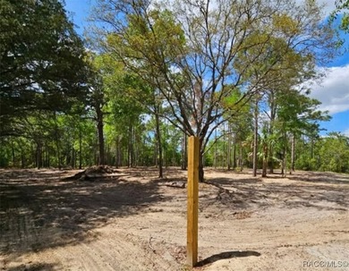 Nestled in a quiet, secluded setting, this .69-acre parcel in - photo 4
