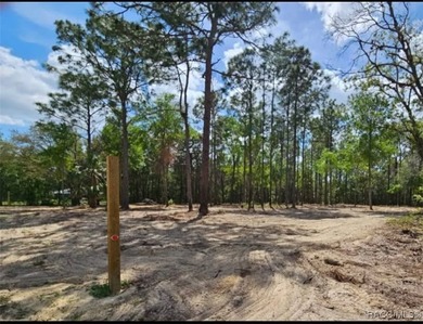 Nestled in a quiet, secluded setting, this .69-acre parcel in - photo 5