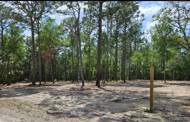 Nestled in a quiet, secluded setting, this .69-acre parcel in - photo 7