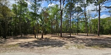 Nestled in a quiet, secluded setting, this .69-acre parcel in - photo 9