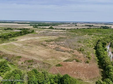 (private lake, pond, coastal) Acreage For Sale in Lambert Mississippi