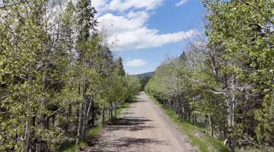 (private lake, pond, creek) Acreage For Sale in Anaconda Montana