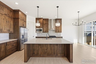 New construction ranch in Windsor's Greenspire at Windsor Lake - photo 2