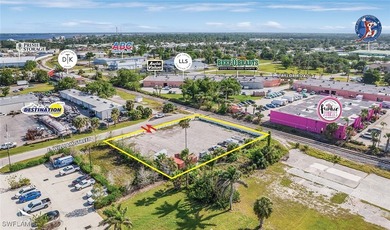 This centrally located commercial lot in the City of Punta Gorda - photo 5