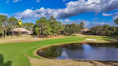 The sale of this home CAN include an Executive or Sports - photo 6