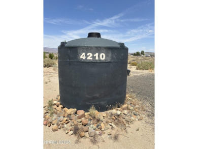 Lake Lahontan Acreage For Sale in Silver Springs Nevada