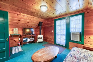 Stunning Mid-Century Cabin located in the heart of Shaver Lake - photo 44