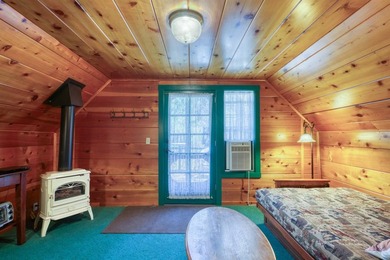 Stunning Mid-Century Cabin located in the heart of Shaver Lake - photo 46