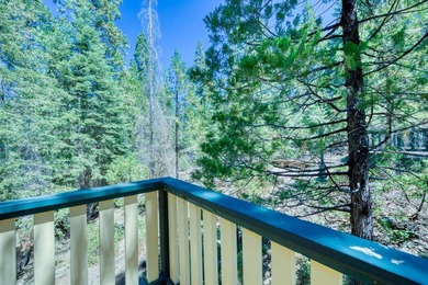 Stunning Mid-Century Cabin located in the heart of Shaver Lake - photo 47
