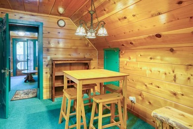 Stunning Mid-Century Cabin located in the heart of Shaver Lake - photo 56