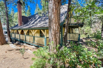 Stunning Mid-Century Cabin located in the heart of Shaver Lake - photo 58