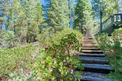 Stunning Mid-Century Cabin located in the heart of Shaver Lake - photo 60
