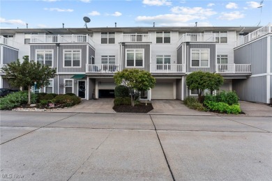 Lake Erie - Lorain County Condo Sale Pending in Lorain Ohio