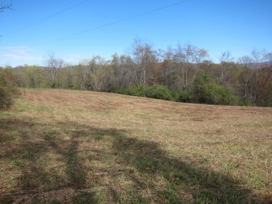Lake Acreage For Sale in Renick, West Virginia