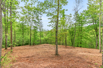 Lake Lot Off Market in Caryville, Tennessee