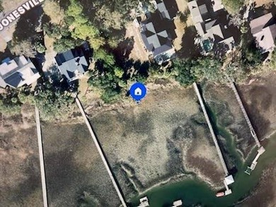 Here is the correction to 223 Jonesville Road. Exceptional water - photo 2