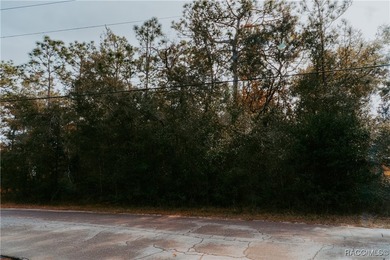 Vita Bella on Monticello. Build your Florida dream in the heart - photo 8